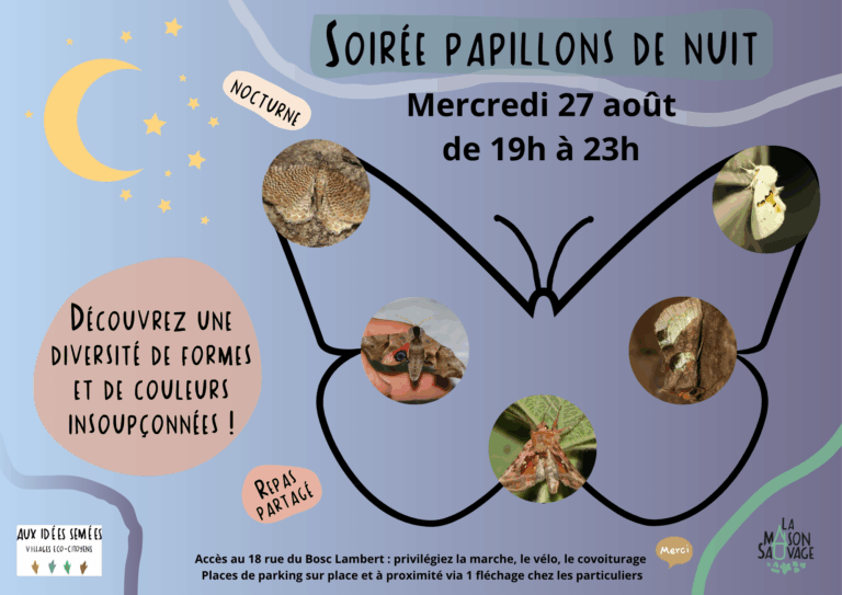 Soirée papillons de nuit