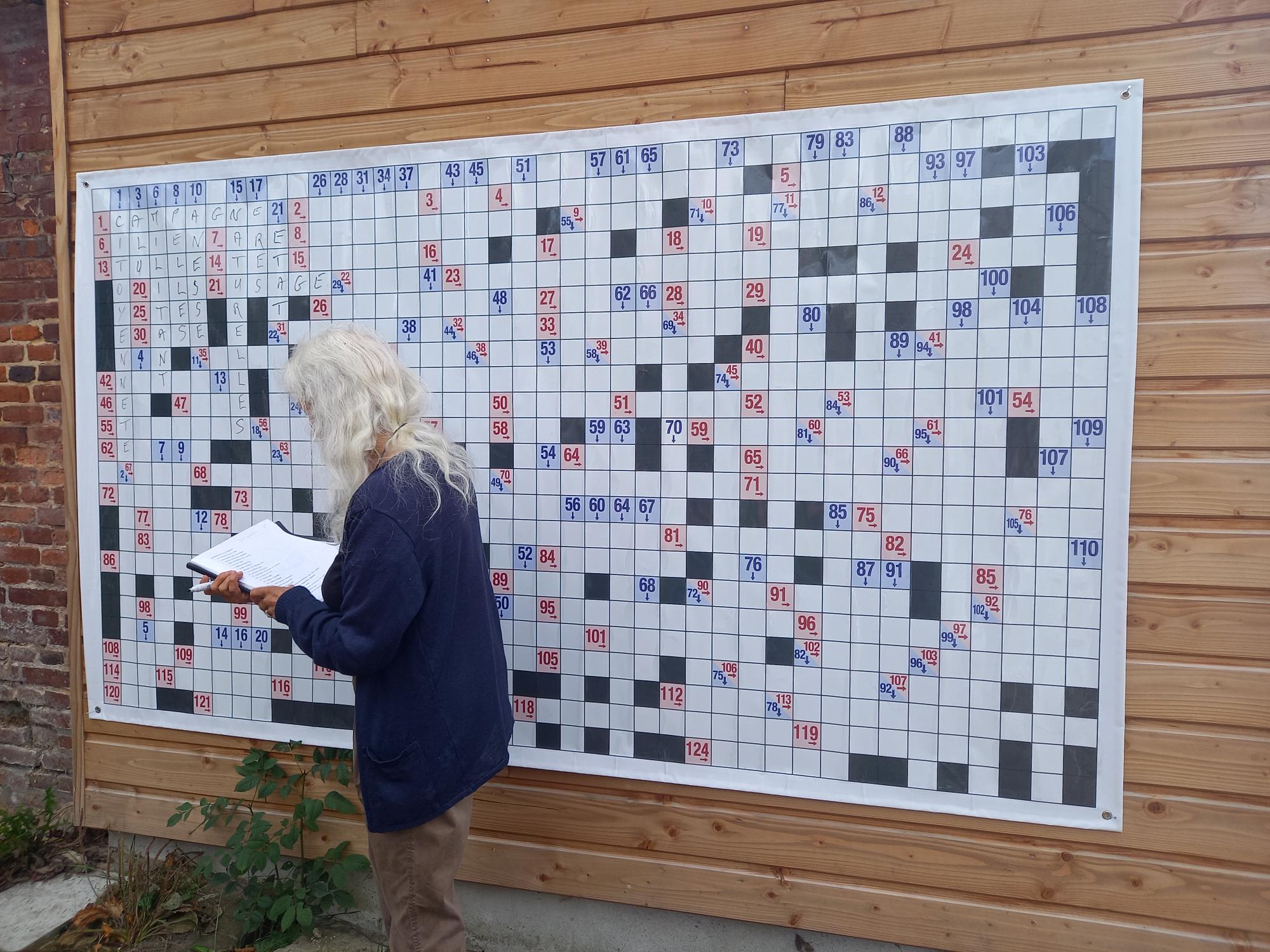 Mots croisés géants