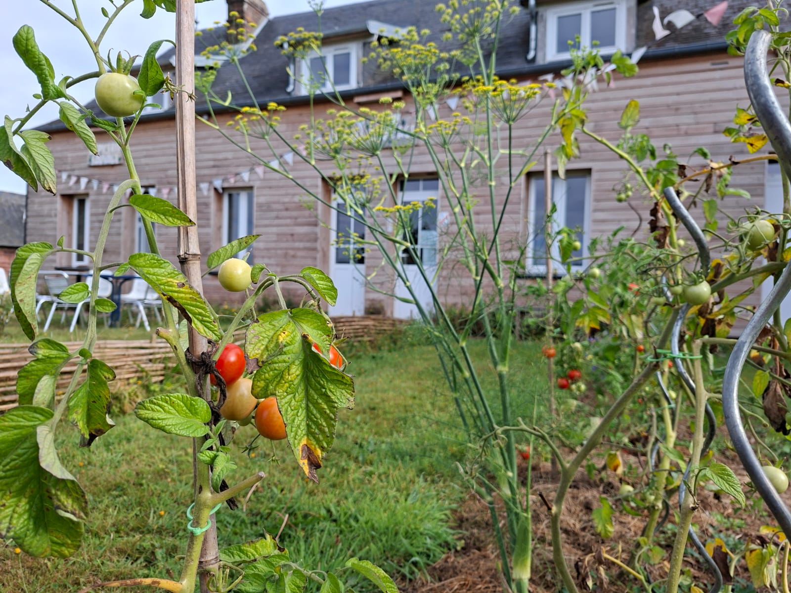 Atelier permapotager