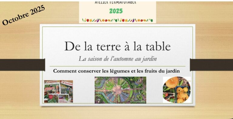 Atelier permapotager