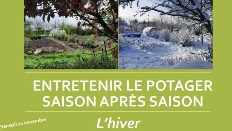 Permapotager : programme de l’hiver