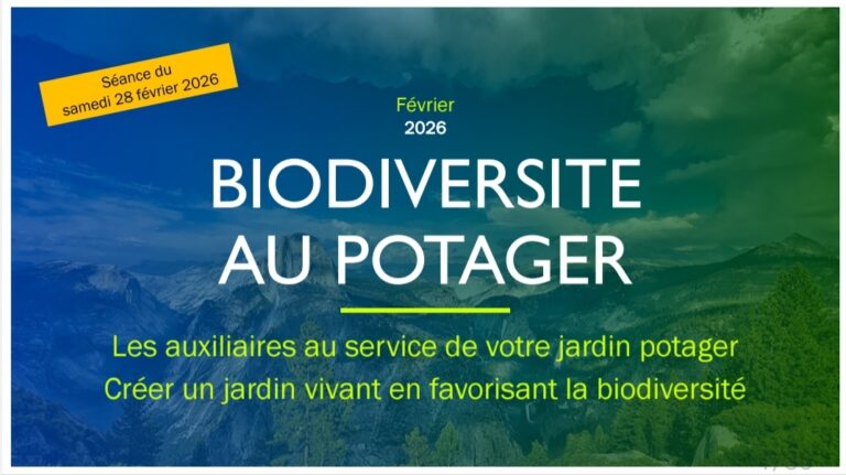 Permapotager : biodiversité
